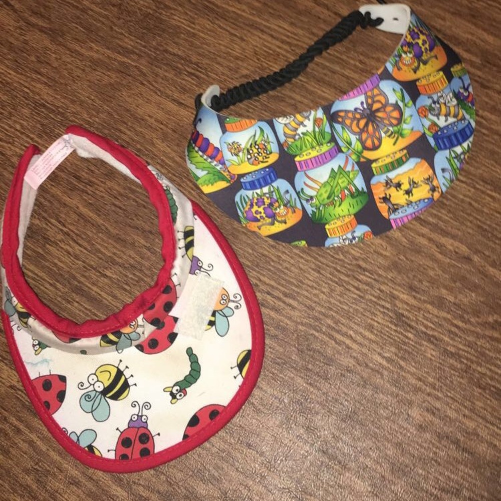 2 bug visors